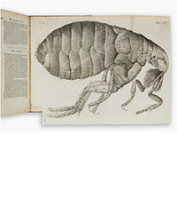 <b>Sotheby’s, Dec. 12:</b> Hooke, Robert. <i>Micrographia: or some Physiological Descriptions of Minute Bodies made by Magnifying Glasses.</i> London: James Allestry for the Royal Society, 1667. $12,000 to $15,000.
