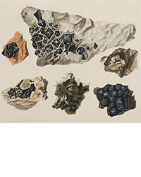 <b>Dominic Winter, Nov. 5:</b> Rashleigh (Philip). <i>Specimens of British Minerals,</i> 2 parts in 1, 1797 & 1802. £3,000 to £5,000.