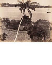 <b>Forum, Oct. 30:</b> Webb (Rev. Arthur J.) <i>The History of Fiji,</i> Illustrated, first edition, 1885. £2,500 to £3,500.