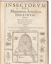 77f9c341-5265-4721-8e37-4494de0df429