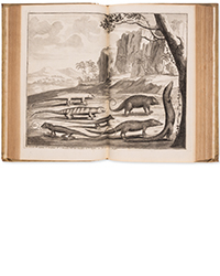 <b>Forum, Mar. 25:</b> Asia.- Valentijn (Francois). <i>Oud en Nieuw Oost-Indiën...,</i> 5 vol. in 8, first edition, Dordrecht [&] Amsterdam, 1724-26. £8,000 - £12,000.