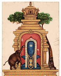 <b>Dominic Winter, Jan. 28:</b> Lot 26. Company School. An album of 85 Indian mica paintings, Madras, c. 1852. £700-1,000