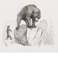 <b>Forum, Oct. 30:</b> Richardson (John) & others. <i>Fauna Boreali-Americana; or the Zoology of the Northern Parts of British America,</i> 4 vol., first edition, 1829-37. £20,000 to £25,000.