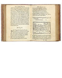 <b>ALDE, Mar. 11:</b> [REGNART (LE LIVRE DE)]. <i>[Le] Docteur en malice, maistre Regnard, demonstrant les ruzes et cautelles qu'il use envers les personnes…</i> Rouen, 1550. €20,000 - €30,000.