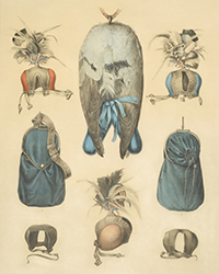 <b>Gros & Delettrez, Feb. 11:</b> SCHLEGEL, Hermann et A. H. VERSTER van WULVERHORST. Traité de Fauconnerie - Planches