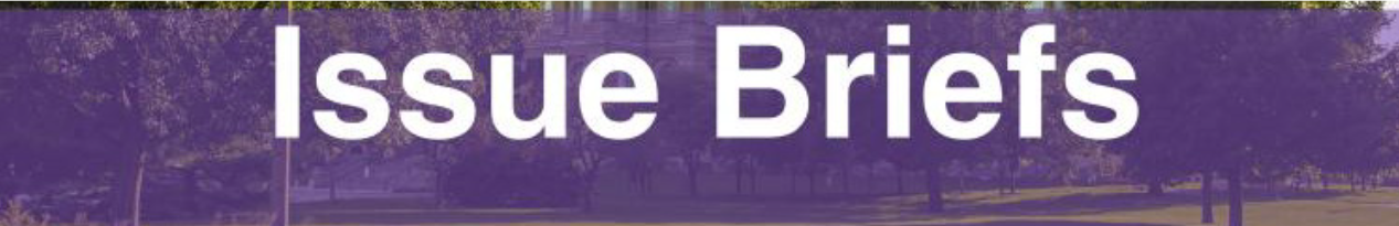 Issue Briefs: Federal Legislation New Book Banning Law Pending, SB4925/HB7661 Additional changes proposed to Copyright Office HR6028