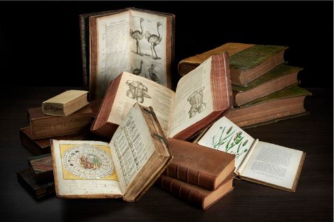 Exhibits, Talks and Symposium - Upcoming and Ongoing London, Austin, Philadelphia