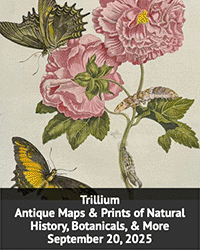 Rare Book Hub: 79 Auctions Archived, another 77 Upcoming this Week