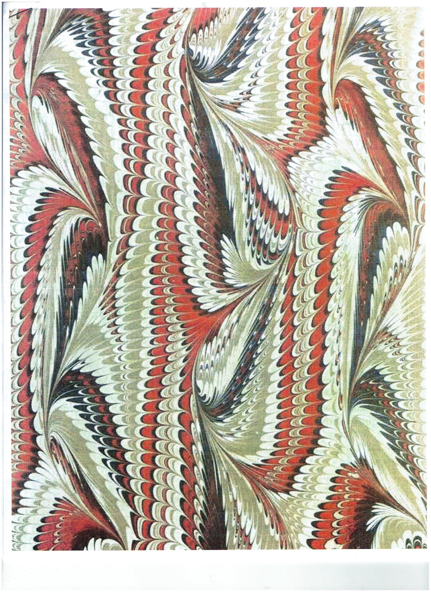 A Variety from Yesterday's Muse Books