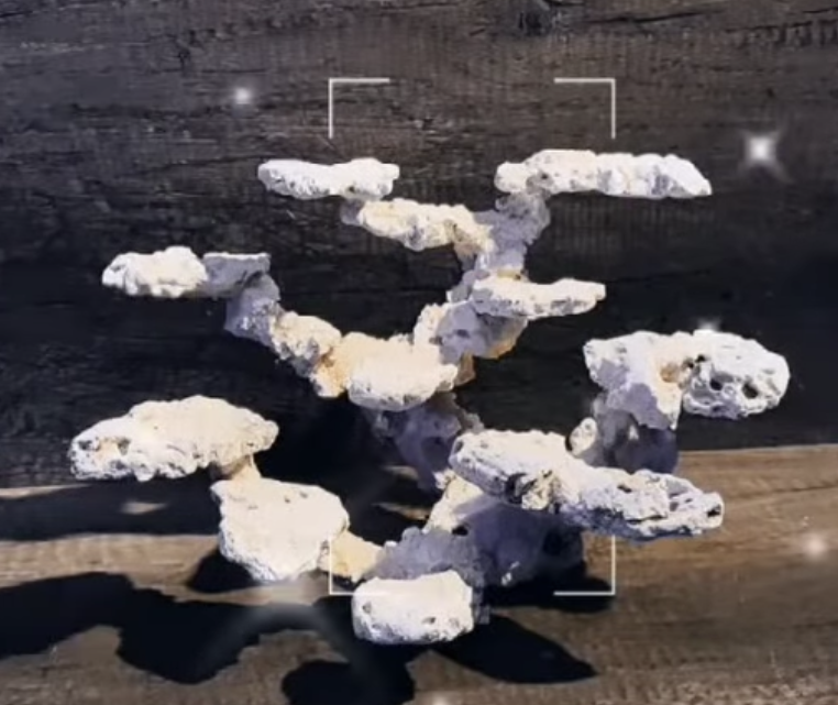 THE WEEK THAT WAS AT THE AUCTIONS ending Nov. 14, 2025 